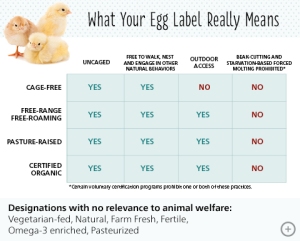 how-to-read-egg-label